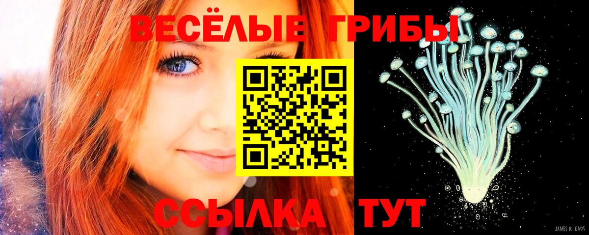 Феодосия  Псилоцибиновые грибы Psilocybine cubensis  Вход с VPN 